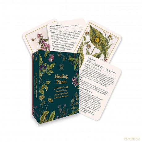 Healing Plants A Botanical Card Deck [KSIĄŻKA]