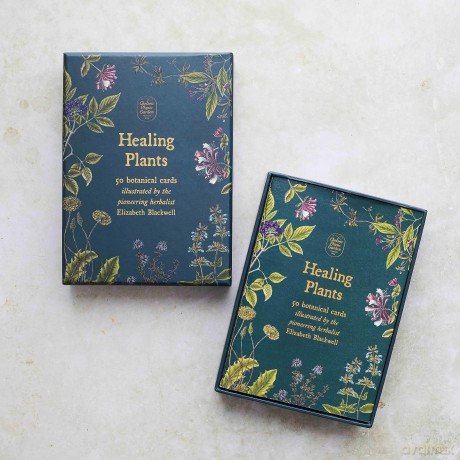 Healing Plants A Botanical Card Deck [KSIĄŻKA]