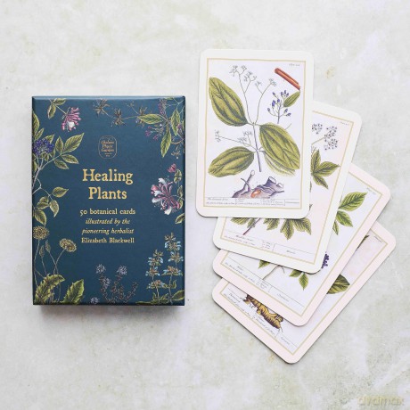 Healing Plants A Botanical Card Deck [KSIĄŻKA]