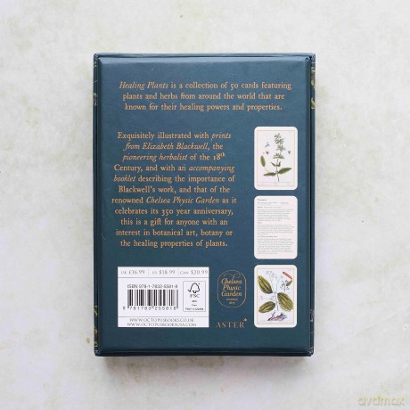 Healing Plants A Botanical Card Deck [KSIĄŻKA]