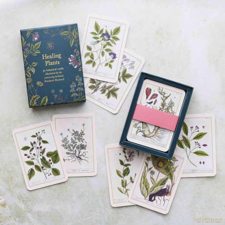 Healing Plants A Botanical Card Deck [KSIĄŻKA]