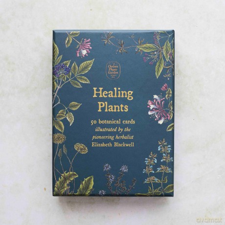 Healing Plants A Botanical Card Deck [KSIĄŻKA]