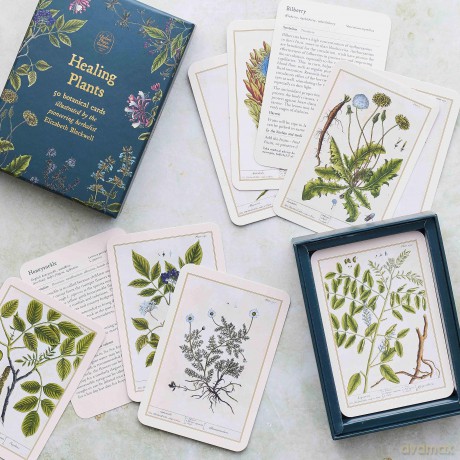 Healing Plants A Botanical Card Deck [KSIĄŻKA]
