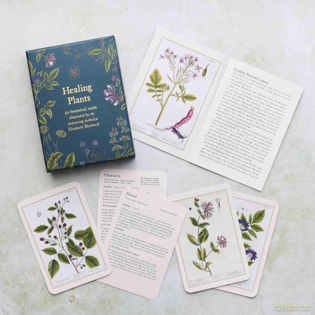 Healing Plants A Botanical Card Deck [KSIĄŻKA]