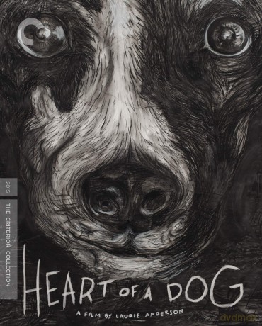 Heart Of A Dog [Blu-Ray]