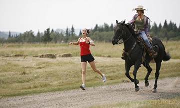 Heartland - Paradies für Pferde, Staffel 1 (Neuauflage) (4 DVDs) [4DVD]
