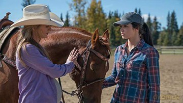 Heartland - Paradies für Pferde, Staffel 10.2 [3DVD]