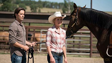 Heartland - Paradies für Pferde, Staffel 11.1 [3DVD]