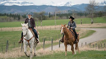 Heartland - Paradies für Pferde, Staffel 11.1 [3DVD]
