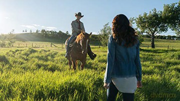 Heartland - Paradies für Pferde, Staffel 11.1 [3DVD]