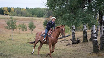 Heartland - Paradies für Pferde, Staffel 11.2 [3DVD]