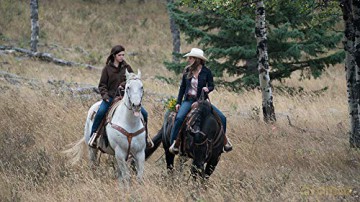 Heartland - Paradies für Pferde, Staffel 11.2 [3DVD]