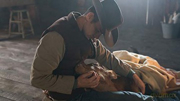 Heartland - Paradies für Pferde, Staffel 11.2 [3DVD]