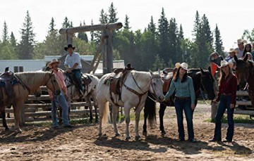 Heartland - Paradies für Pferde, Staffel 12 (4 DVDs) [4DVD]
