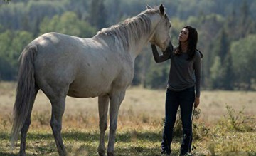 Heartland - Paradies für Pferde, Staffel 12 (4 DVDs) [4DVD]