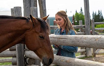 Heartland - Paradies für Pferde, Staffel 12 (4 DVDs) [4DVD]