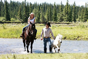 Heartland - Paradies für Pferde, Staffel 2 (Neuauflage) (6 DVDs) [6DVD]
