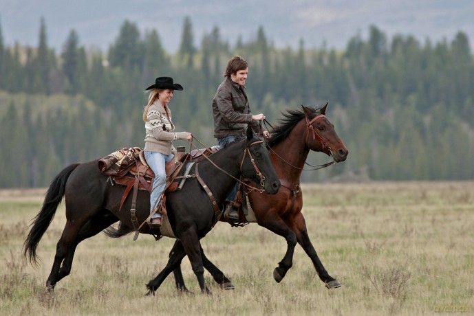 Heartland - Paradies für Pferde, Staffel 3 (Neuauflage) (6 DVDs) [6DVD]