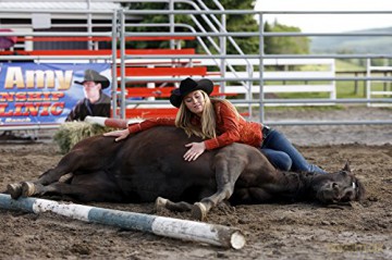 Heartland - Paradies für Pferde, Staffel 4 (Neuauflage) (6 DVDs) [6DVD]