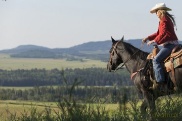 Heartland - Paradies für Pferde, Staffel 5 (Neuauflage) (6 DVDs) [6DVD]