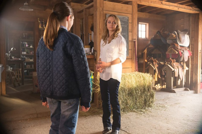 Heartland - Paradies für Pferde, Staffel 8 (Neuauflage) (6 DVDs) [DVD]