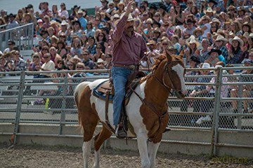 Heartland - Paradies für Pferde, Staffel 9.1 [3DVD]