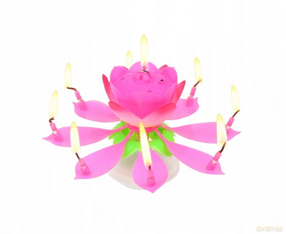 Świeczka grająco-tańcząca. Różowa