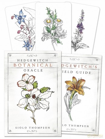 Hedgewitch Botanical Oracle [KSIĄŻKA]