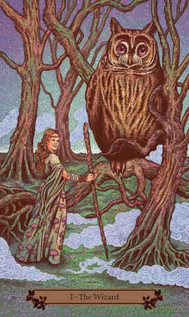 Hedgewitch Tarot The [KSIĄŻKA]