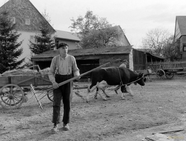 Heimat - Eine deutsche Chronik - Director's Cut Kinofassung - Digital Remastered (7 DVDs) [7DVD]