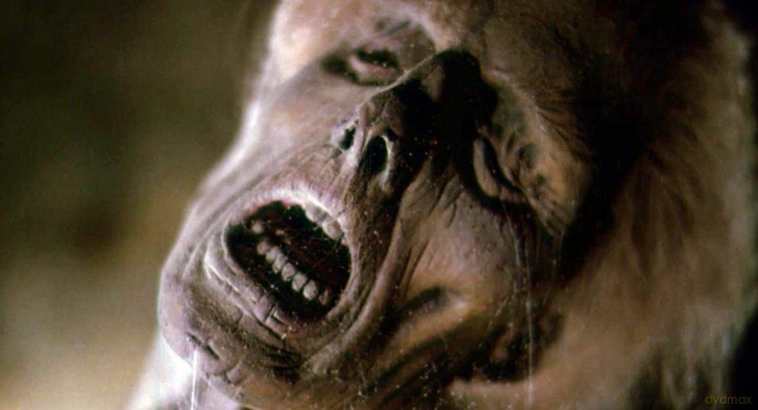 Hell Night [DVD]