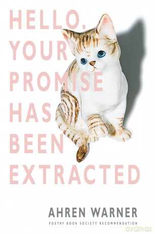 Hello. Your Promise Has Been [KSIĄŻKA]