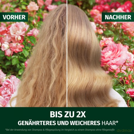 Herbal Essences Rose Spźlung 250 ml