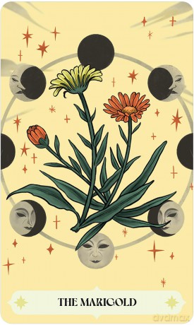Herbana Witch Oracle [KSIĄŻKA]