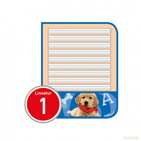 Herlitz: herlitz Schulheft x.book Lineatur 1 lini
