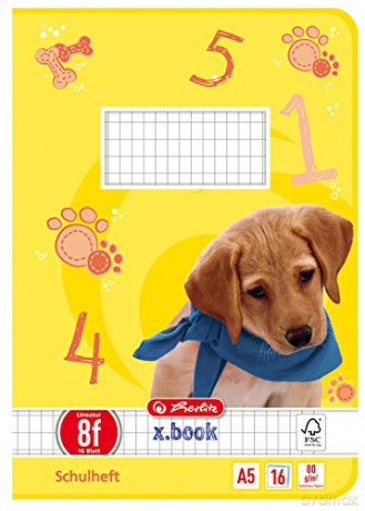 Herlitz: herlitz Schulheft x.book Lineatur 10 kar