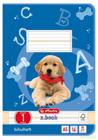 Herlitz: herlitz Schulheft x.book Lineatur 4 lini
