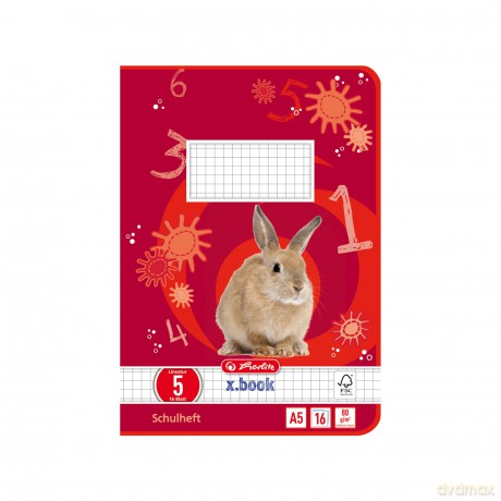 Herlitz: herlitz Schulheft x.book Lineatur 5 kari
