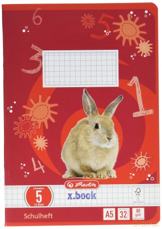 Herlitz: herlitz Schulheft x.book Lineatur 5 kari