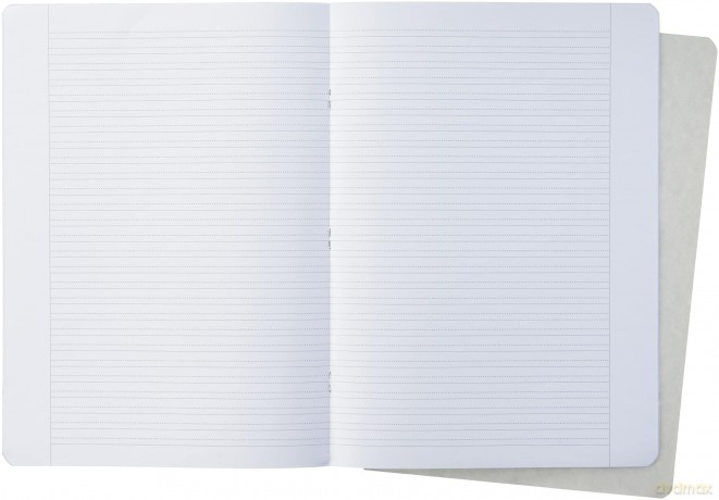 Herlitz: herlitz Schulheft x.book Lineatur dm lin
