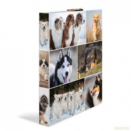 HERMA Animals Hunde Ringbuch 4-Ringe Mot