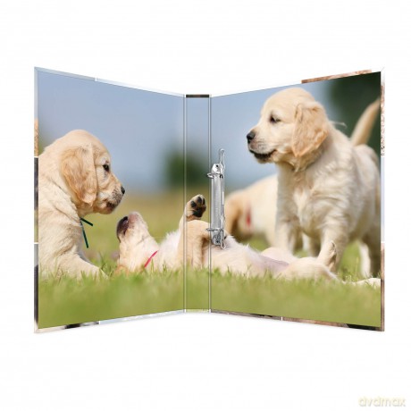 HERMA Animals Hunde Ringbuch 4-Ringe Mot