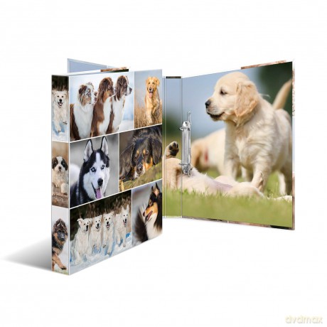 HERMA Animals Hunde Ringbuch 4-Ringe Mot