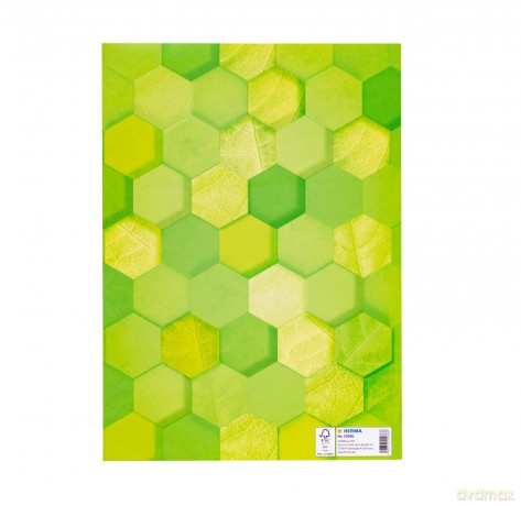 Herma: HERMA Heftumschlag X grasgrźn Papier A4