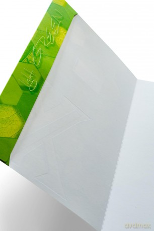 Herma: HERMA Heftumschlag X grasgrźn Papier A4
