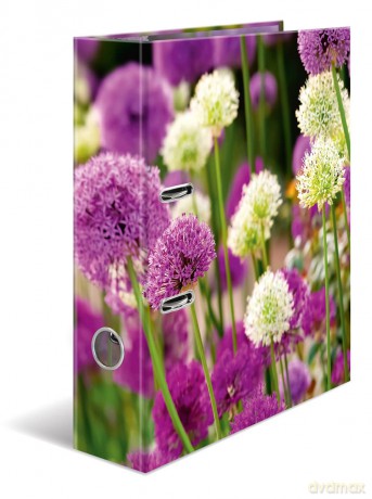HERMA Herma Ordner Purple Sensation Moti