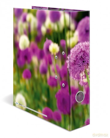 HERMA Herma Ordner Purple Sensation Moti