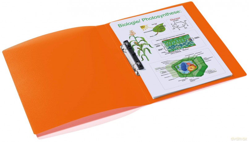 HERMA Ringbuch A4 uni orange