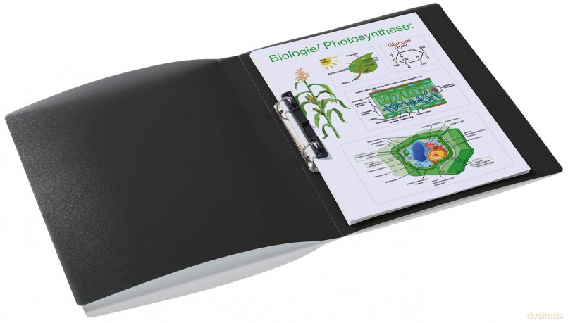 HERMA Ringbuch A4 uni schwarz