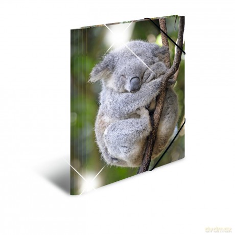 HERMA Sammelmappe A4 Glossy Koala Polypr